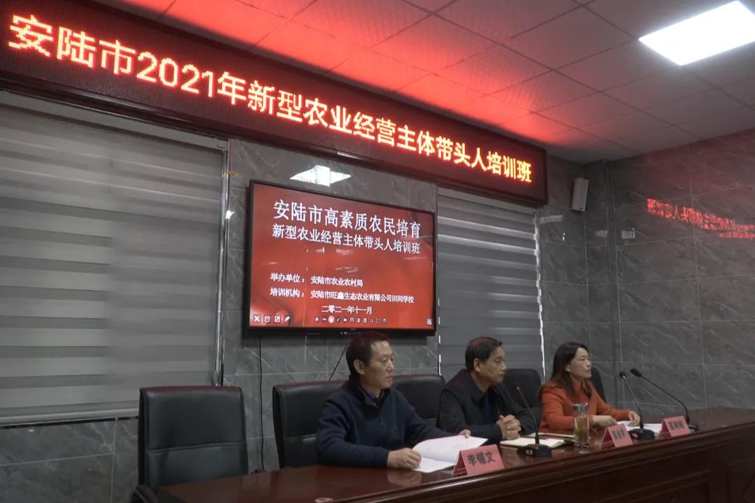 安陆人才网最新招聘动态——引领人才与机遇的交汇点