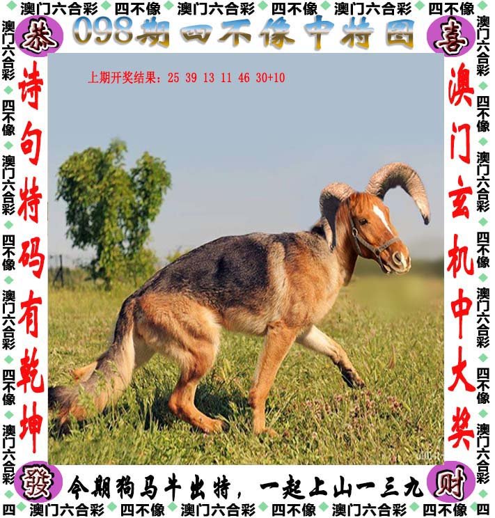 澳门最精准四不像正版|精选解释解析落实